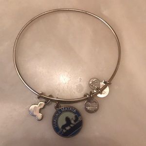 Disney bracelet Alex and ani